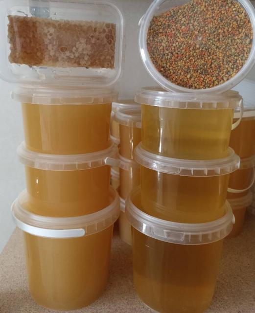 Мед натуральний (акацієвий, весняний, ріпаковий), мед в сотах, пилок