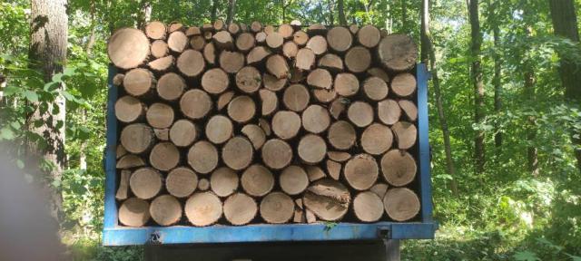 Продам дрова твердых пород дуб ясень чурка метровые.. Колотые.