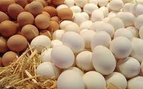 Яйця столові курячі різних категорій
