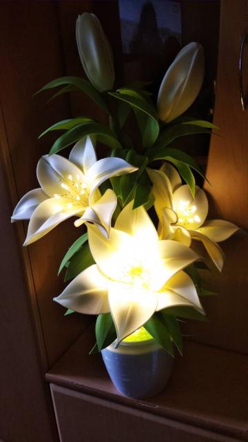 Квіти-світильники