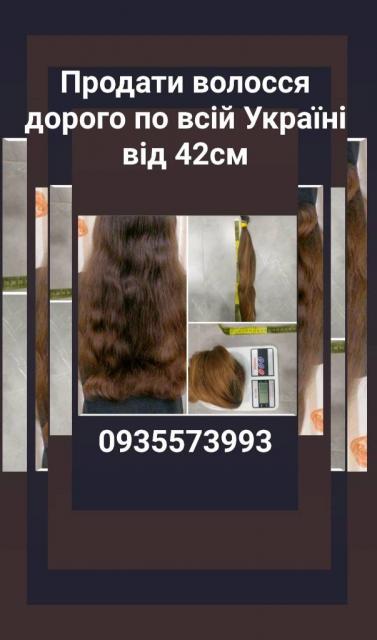 Продать волосы, куплю волосся по всій Україні від 42 см -0935573993