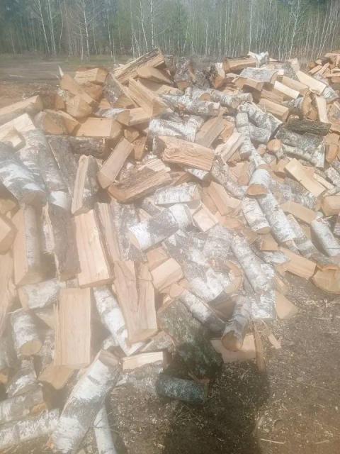 Продам дубові дрова 1800м3-навалом