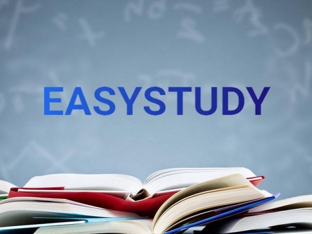 Заказать эссе  в EasyStudy