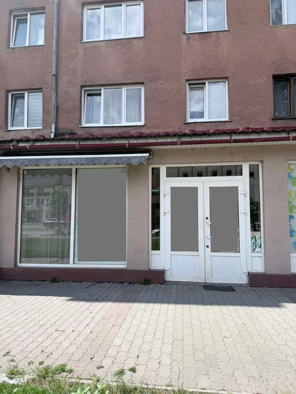 Комерційна нерухомість – 80 м², Великий Березний — 2/12