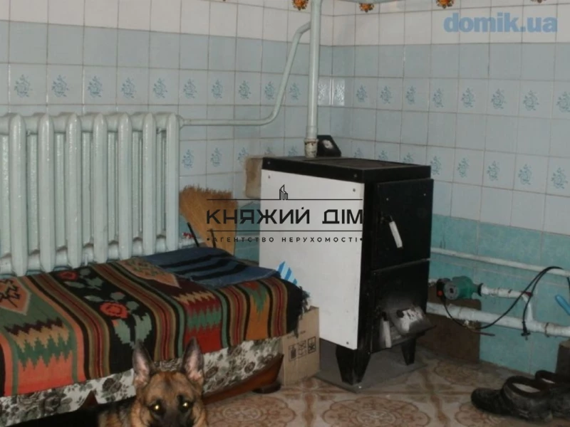 Будинок 0-кімн. продаж Сеньківка – 120 м², Сеньківка — 10/12