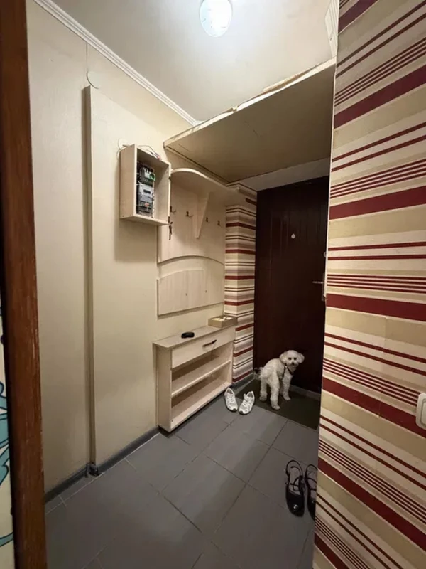 Квартира 1-кімн. оренда Полтава, Шевченковский (Октябрьский) – 50 м², Полтава — 4/7