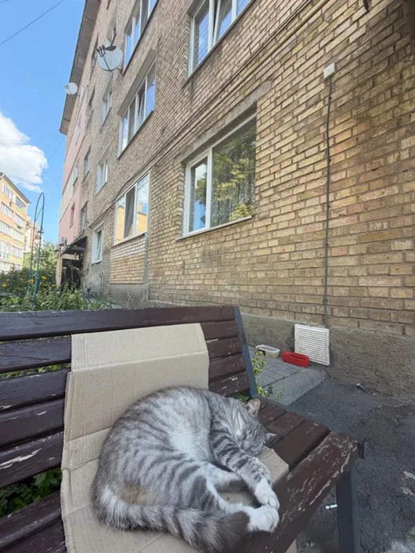 Квартира 1-кімн. продаж Петропавлівська Борщагівка – 23 м², Петропавловская Борщаговка — 3/15
