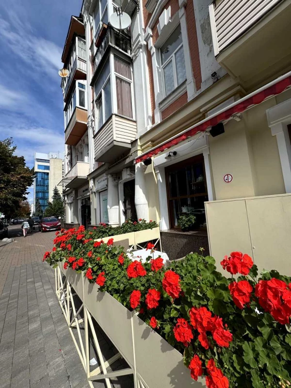 Квартира 3-кімн. продаж Київ, Печерский – 39 м², Київ — 15/15